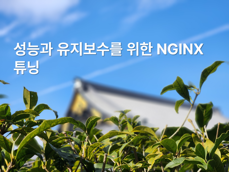 Dev. 성능과 유지보수를 위한 NGINX 튜닝
