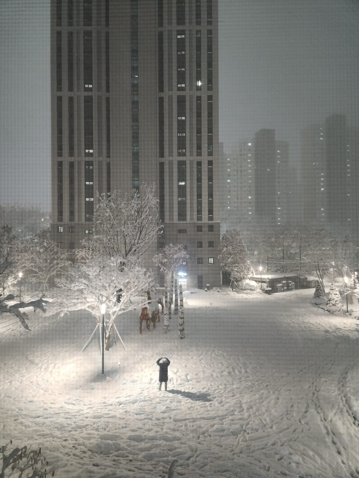 [2024/2025 회고] (5) 돌아온 탕아