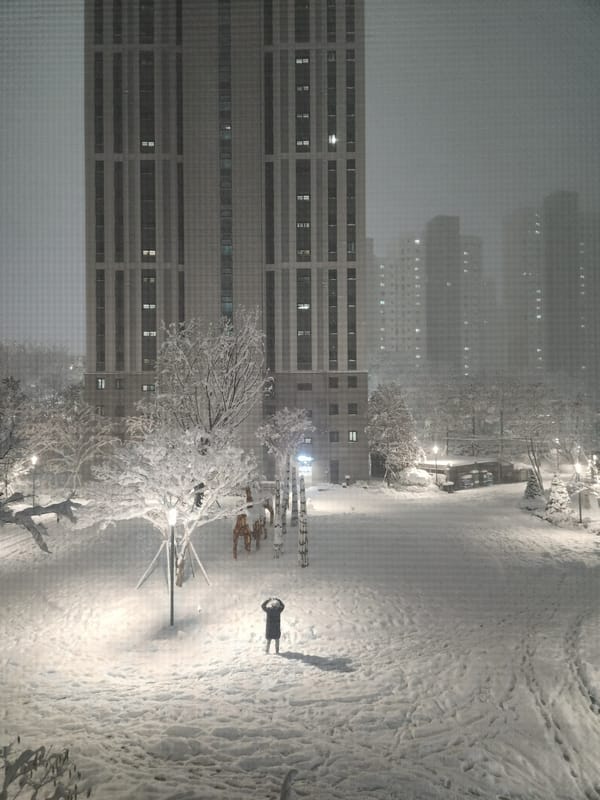 [2024/2025 회고] (5) 돌아온 탕아